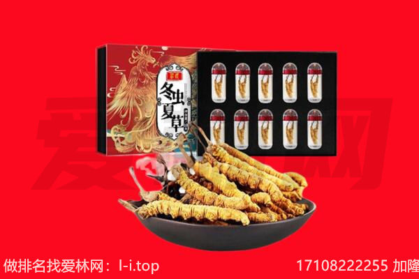 重庆九龙坡区回收虫草.jpg